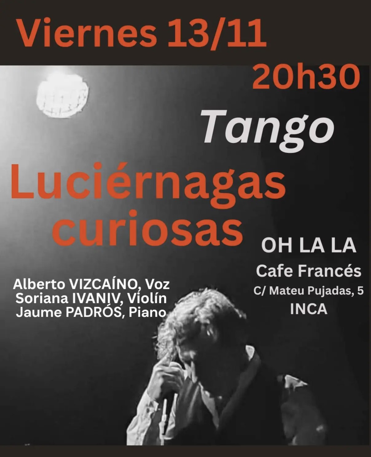 Luciérnagas Curiosas